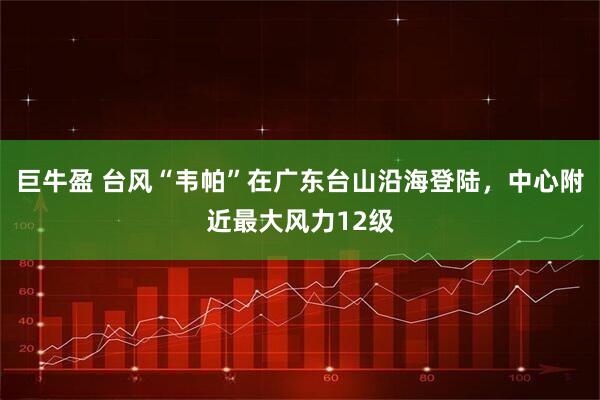 巨牛盈 台风“韦帕”在广东台山沿海登陆，中心附近最大风力12级